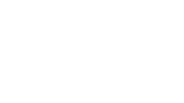 concurso internacional rosas nuevas villa madrid